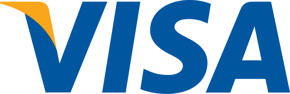 Visa Network Logo